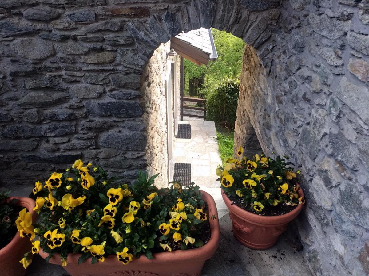 Agriturismo La Fonte Di Mariella Gravedona Eksteriør billede
